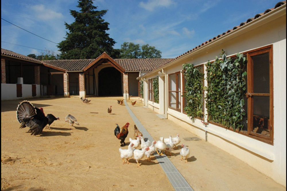 Agromuseu Municipal Dona Julinha - Cultura rural e agrícola